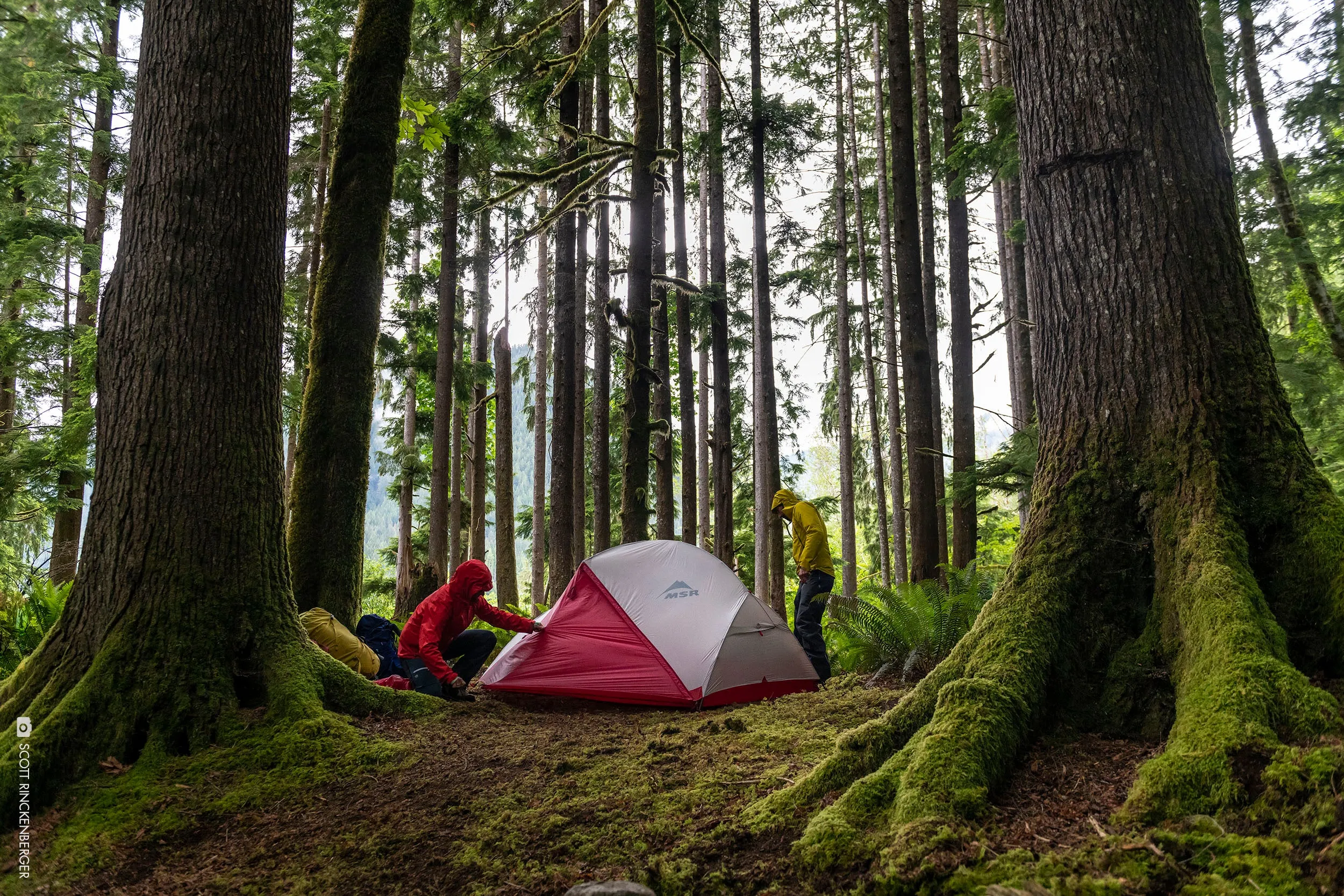 MSR Hubba Hubba NX 2-Person Tent